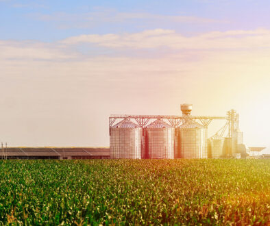 A Field of Crops With Steel Silos in the Background Galvanizing and Agriculture