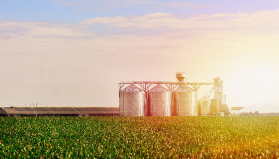 A Field of Crops With Steel Silos in the Background Galvanizing and Agriculture